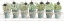 Picture of HERBS IN A ROW