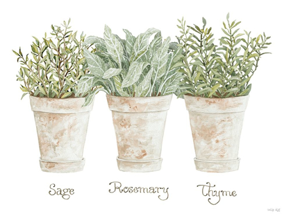 Picture of HERB TRIO