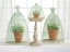 Picture of GARDEN CLOCHE TRIO I