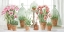 Picture of TERRACOTTA COLLECTION I