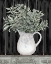 Picture of SAGE GREENERY IN A PITCHER