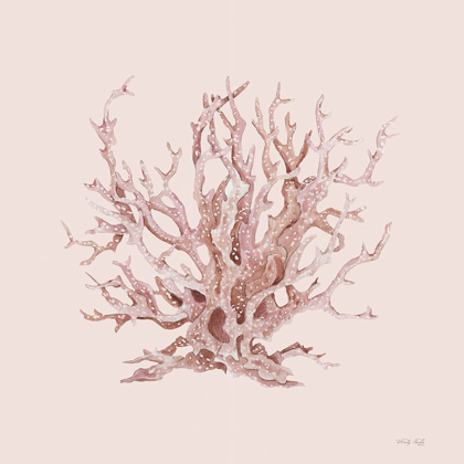 Picture of PINK CORAL I