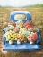 Picture of FLOWERS FOR SALE