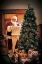 Picture of NAUGHTY OR NICE?