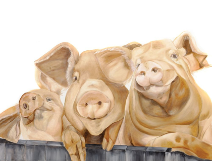 Picture of THREE PIGS