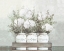 Picture of WHITE FLOWER JARS