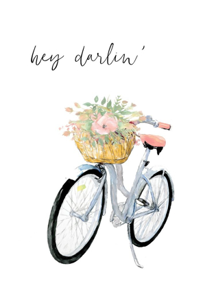 Picture of HEY DARLIN BICYCLE
