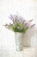 Picture of LAVENDER ON WHITE