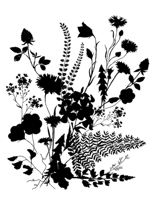 Picture of INKED FLOWERS