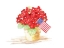 Picture of PATRIOTIC FLOWERS