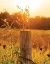 Picture of POST