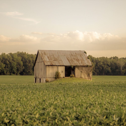 Picture of RURAL BARN