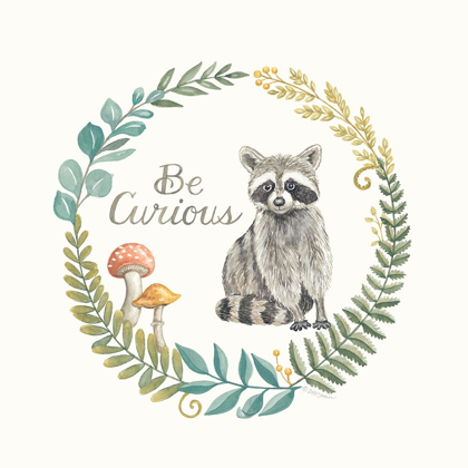 Picture of BE CURIOUS RACCOON
