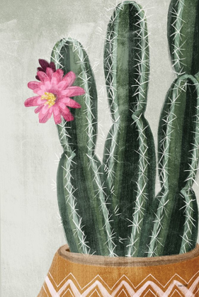 Picture of FLOWERING CACTUS