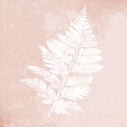 Picture of BLUSH FERN II