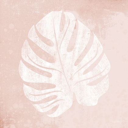 Picture of BLUSH FERN III
