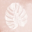 Picture of BLUSH FERN III