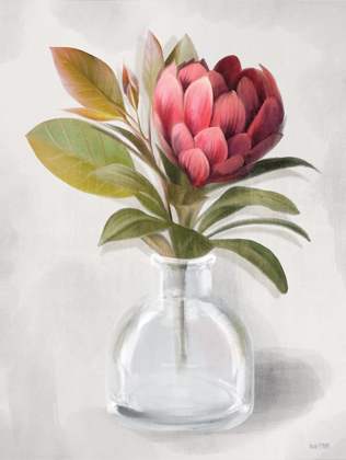 Picture of PROTEA POSIE  