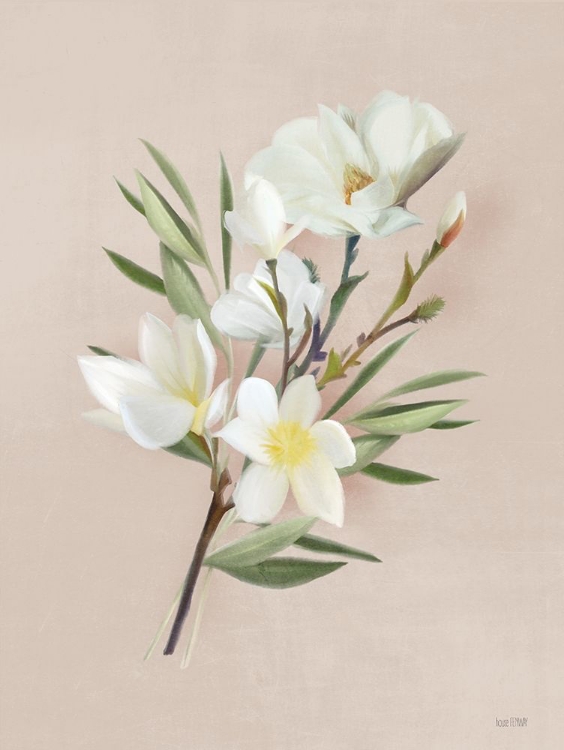 Picture of SPRING MAGNOLIAS