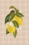 Picture of LEMON BOTANICAL I  