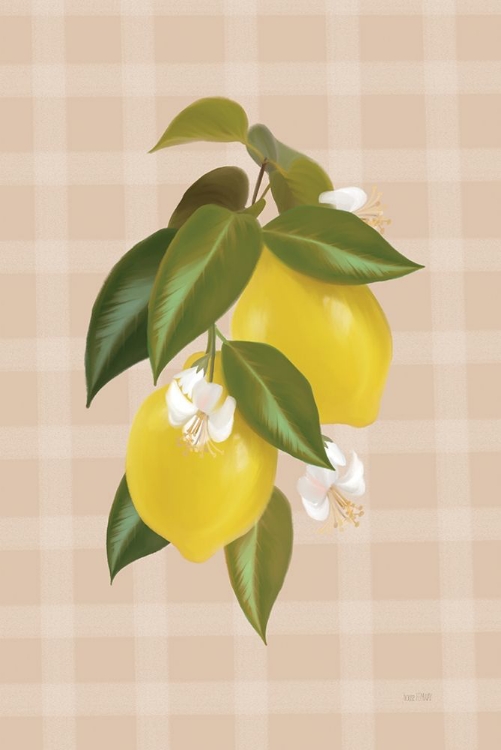 Picture of LEMON BOTANICAL I  