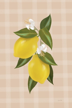 Picture of LEMON BOTANICAL II