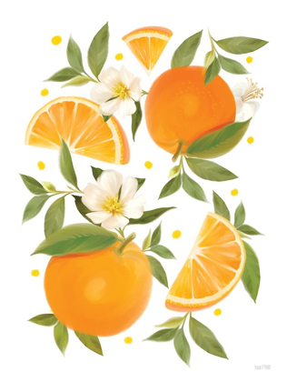 Picture of CITRUS ORANGE BOTANICAL