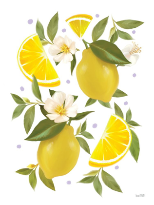 Picture of CITRUS LEMON BOTANICAL