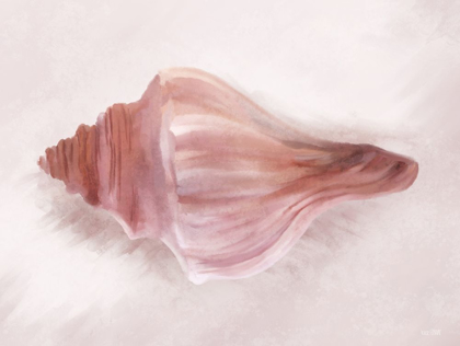Picture of CONCH SHELL BLUSH I