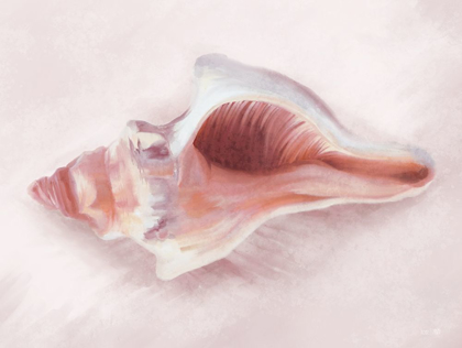 Picture of CONCH SHELL BLUSH II