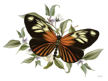 Picture of BOTANICAL BUTTERFLY HELICONIUS   