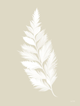 Picture of BOTANICAL WHITE FERN   