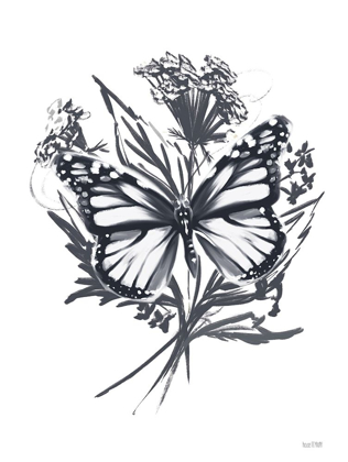 Picture of BLACK AND WHITE BUTTERFLY