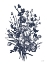 Picture of BLUES IN BLOSSOM II