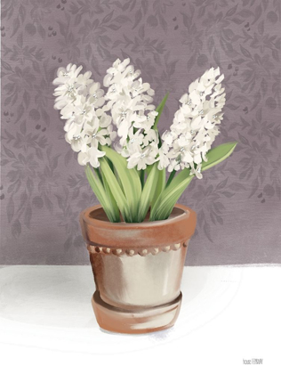 Picture of HOUSE HYACINTH PLANT
