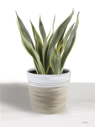 Picture of SNAKE PLANT I
