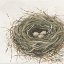 Picture of NEW LIFE