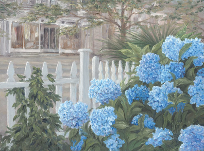 Picture of HYDRANGEAS