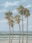 Picture of WIND IN THE PALMS