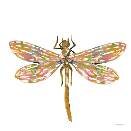 Picture of DAINTY DRAGONFLY
