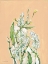Picture of SPRING FLORA