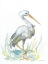 Picture of STORK