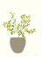Picture of LEMON TREE