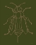 Picture of BEE