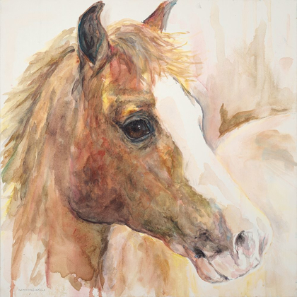 Picture of WATERCOLOR HORSE