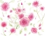 Picture of PINK POISES
