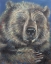 Picture of GENTLE GIANT    