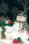 Picture of MAILBOX AND SNOWMAN