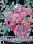 Picture of ENTRYWAY BOUQUET   