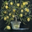 Picture of LEMON TREE